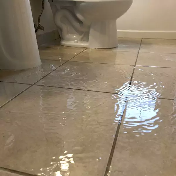 Expert Flooded Bathroom Restoration in Gilbert, AZ 