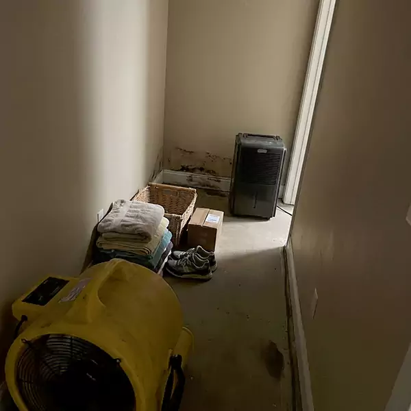 Expert Water Remediation in Gilbert, AZ 