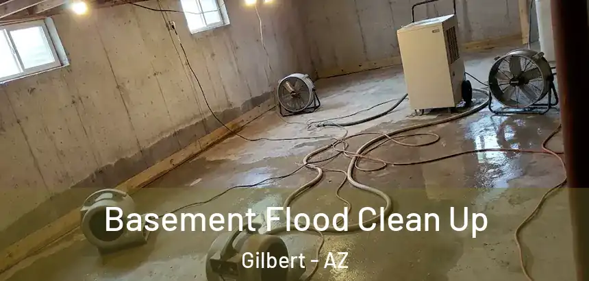 Basement Flood Clean Up Gilbert - AZ