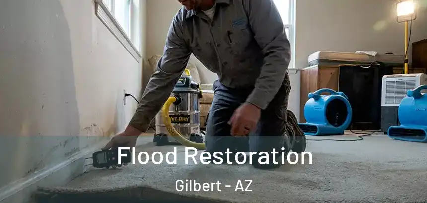 Flood Restoration Gilbert - AZ