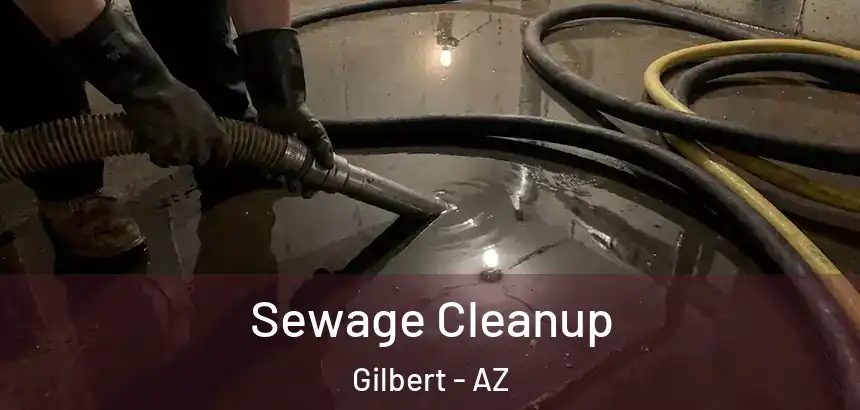 Sewage Cleanup Gilbert - AZ