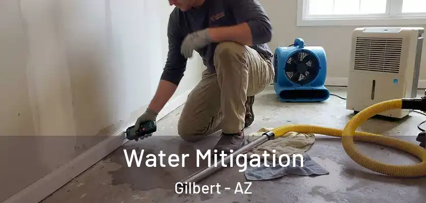 Water Mitigation Gilbert - AZ